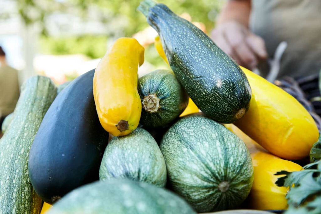 Zucchinis vom Balkongarten