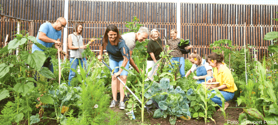 Menschen bei der gemeinschaftlichen Gartenarbeit