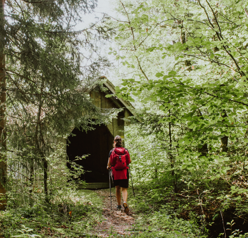 Kurz vor der Wandfluhbrücke auf dem Weg zum Hochhäderich