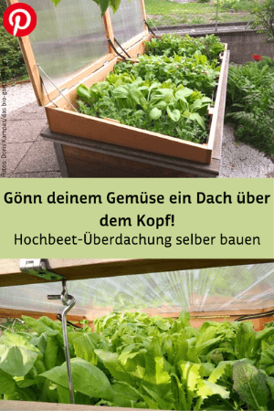 Hochbeet-Überdachung selber bauen: So geht's!