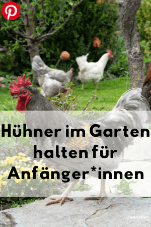 Hühner im Garten halten für Anfänger*innen