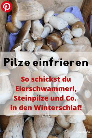 Pilze einfrieren