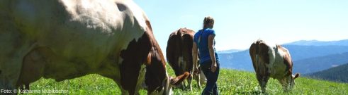 Christina Bauer auf der Alm mit Kühen