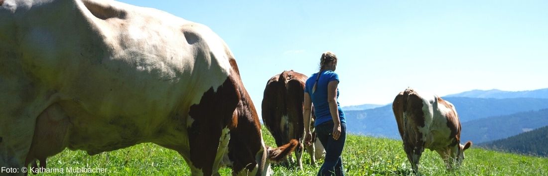 Christina Bauer auf der Alm mit Kühen