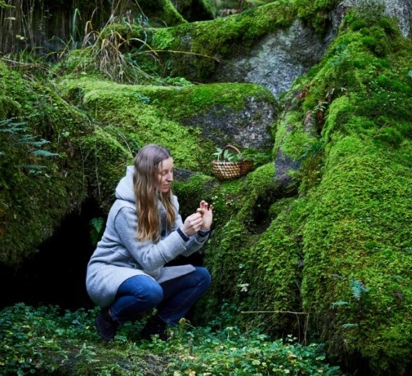 Sammeln im Wald