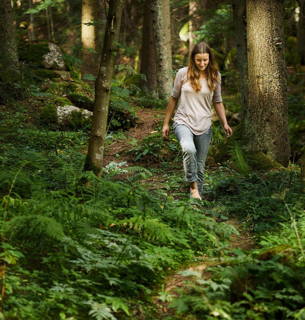 Unterwegs im Wald - zum nächsten Unterschlupf