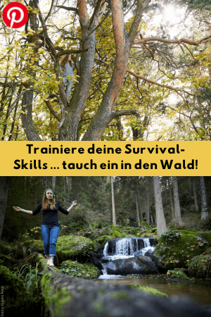 Tauch ein in den Wald!