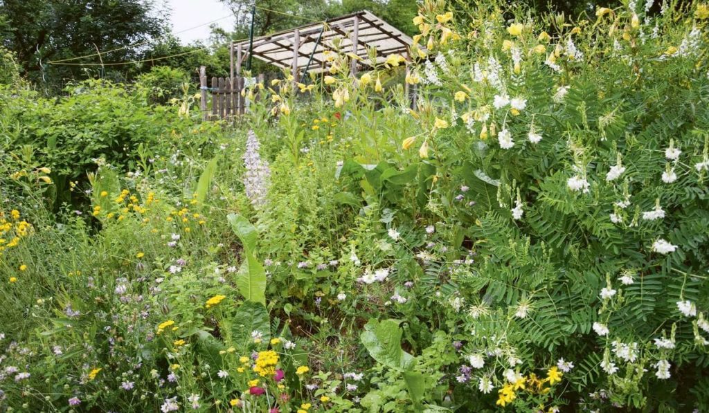 Hier fühlen sich die Bienen wohl