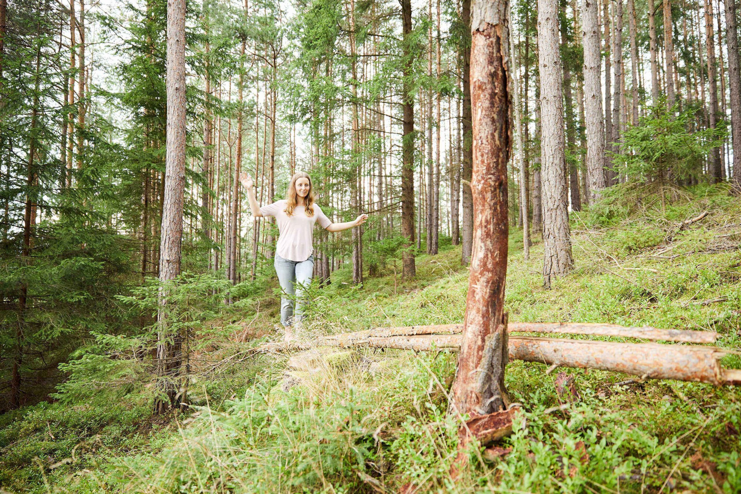 Fühl dich wie zuhause im Wald!