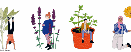 Illustrationen von Menschen und Kräutern