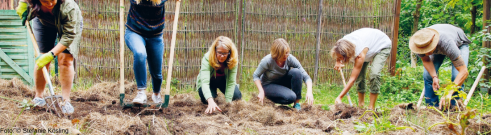 Urban Farming