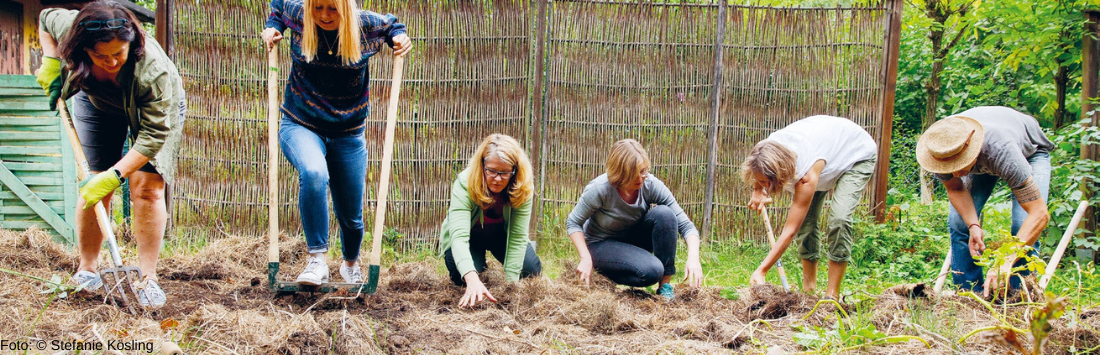 Urban Farming