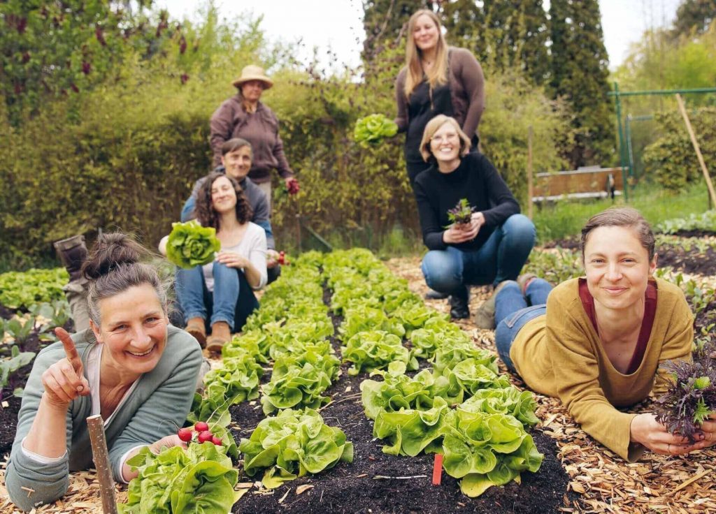 7 Menschen stehen oder liegen rund um einen Salatgarten, grüner Salat in der Mitte