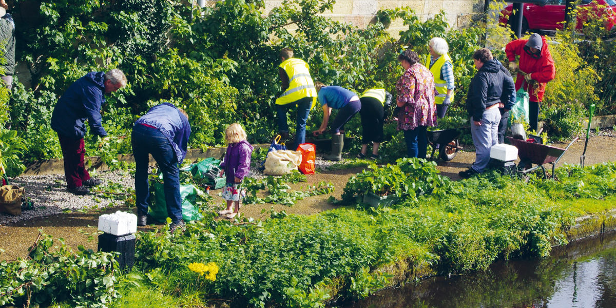 Eine Gruppe von Menschen beim Guerilla Gardening