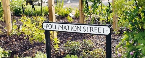 Guerilla Gardening