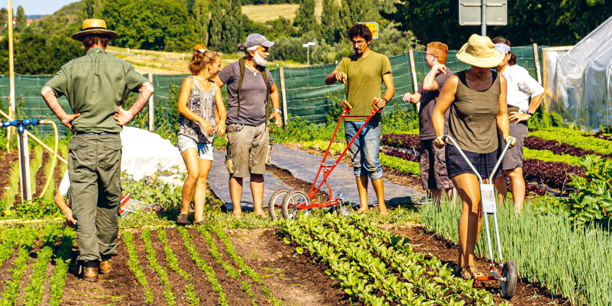 Eine Gruppe von Menschen auf dem Feld beim Market Gardening