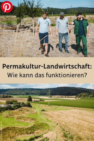 Männer auf landwirtschaftlicher Fläche und Feld