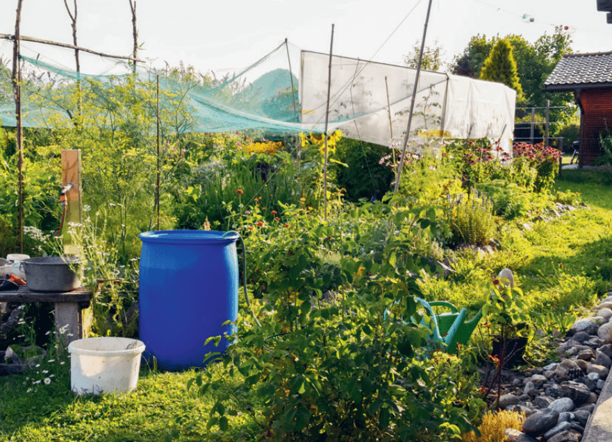 Permakultur-Garten