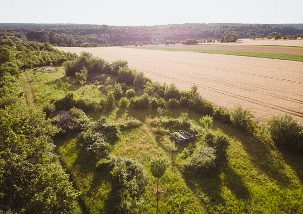 permakulturell bewirtschaftete Felder