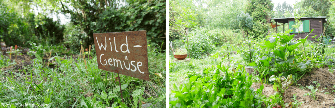 Permakultur-Gärten mit Schild und Hütte