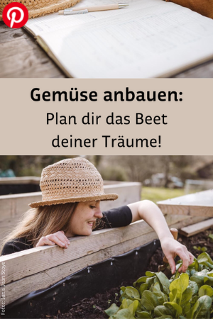 Gemüse anbauen nach Plan