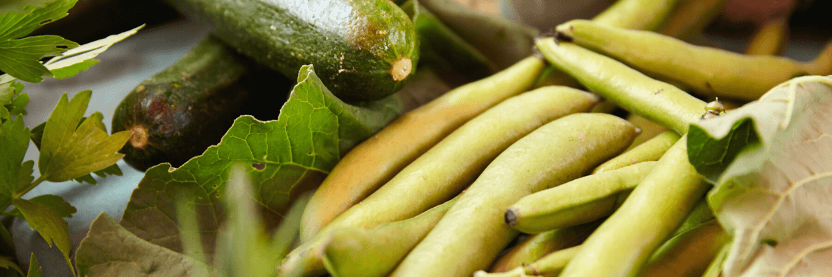 Zucchini und Bohnen auf Tisch