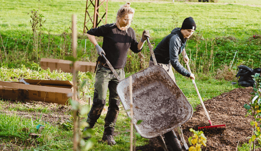 Mann und Frau bei der Gartenarbeit