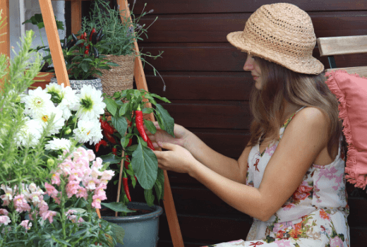 Frau zwischen Pflanzen am Balkon