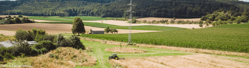 Carbon-Farming-Feld