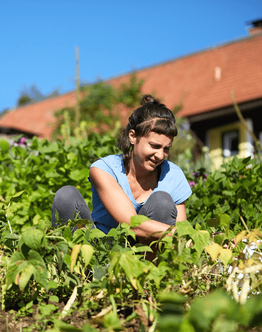 Frau bei der Ernte