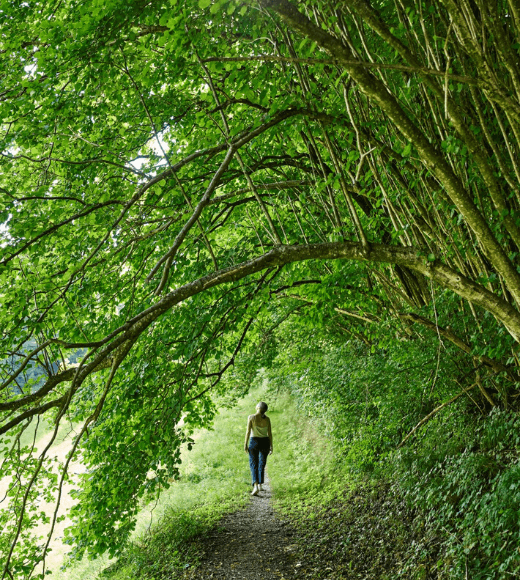 Valerie Jarolim beim Spazierengehen im Wald