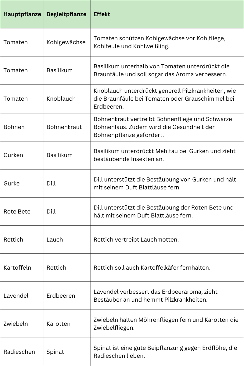 Tabelle