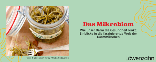 Titelbild: Bild von fermentiertem Bärlauch + Titel des Magazinbeitrags
