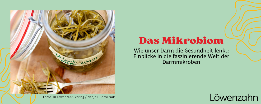 Titelbild: Bild von fermentiertem Bärlauch + Titel des Magazinbeitrags