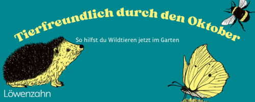 Tierfreundlich durch den Oktober